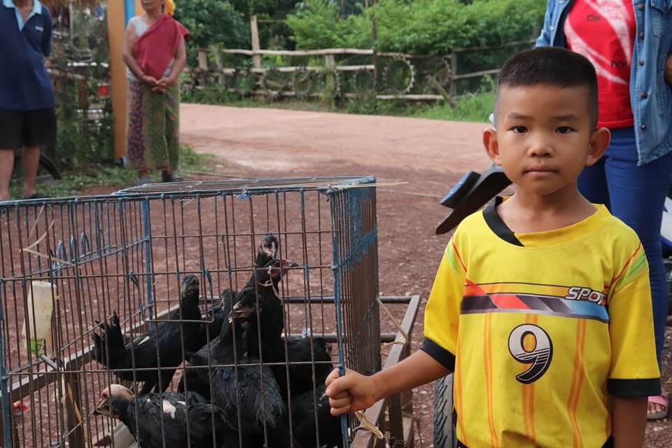 Chicken Farm in Nong Khai