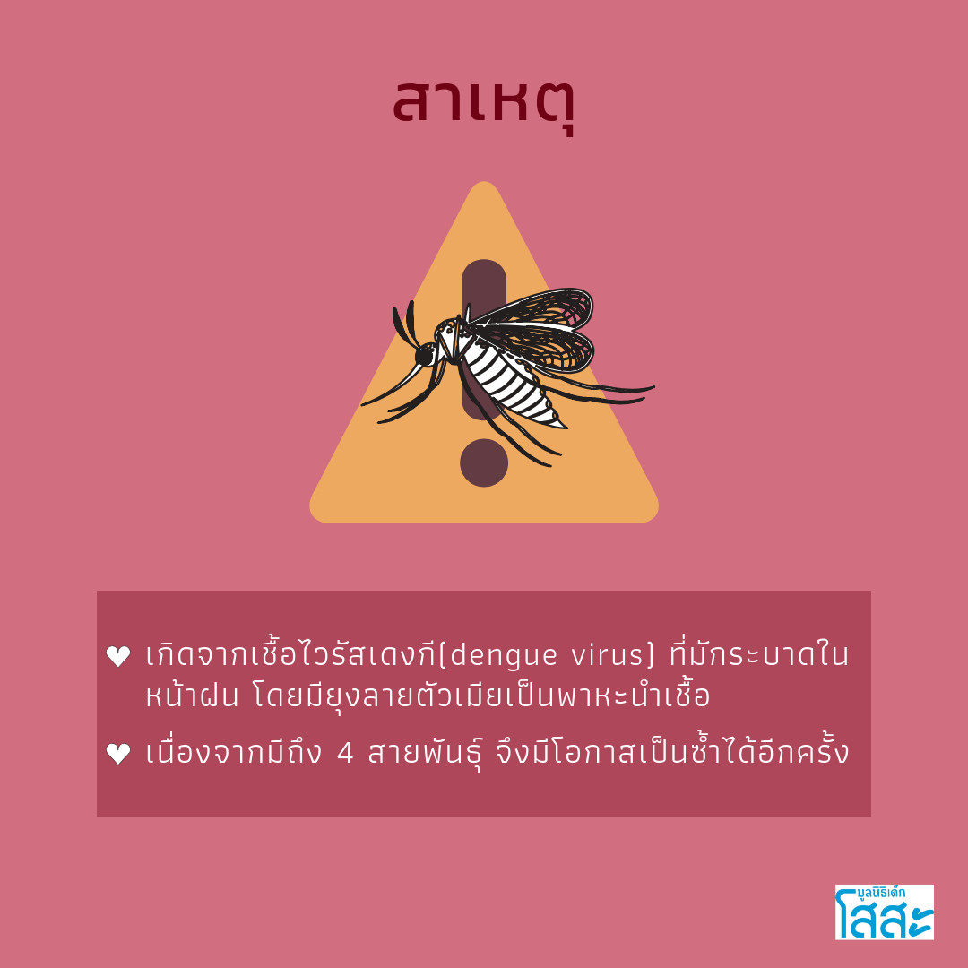 sosthailand-dengue-fever-มูลนิธิเด็กโสสะ-ไข้เลือดออก-สาเหตุ