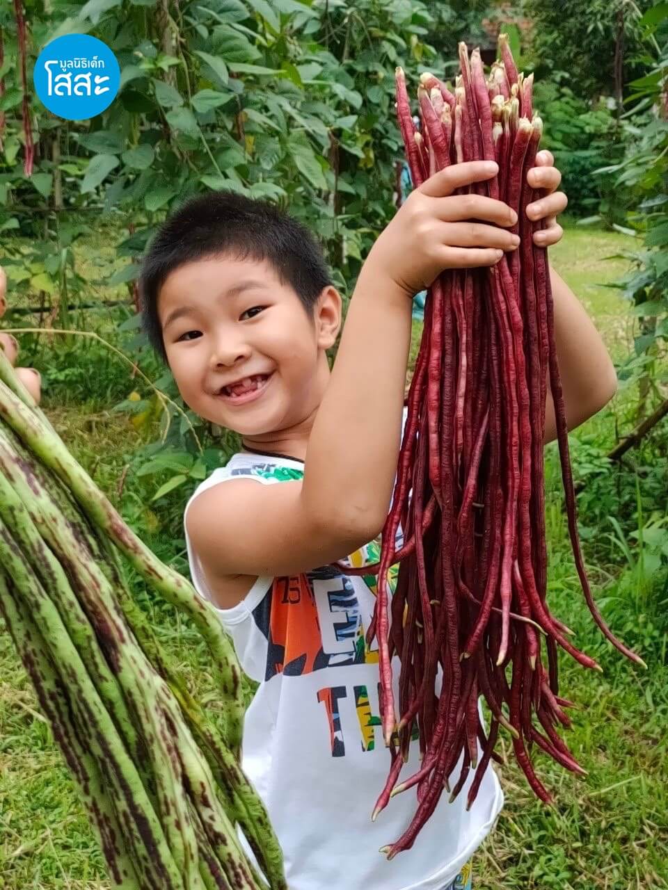 เพาะรัก ผักริมรั้วจากครอบครัวโสสะ