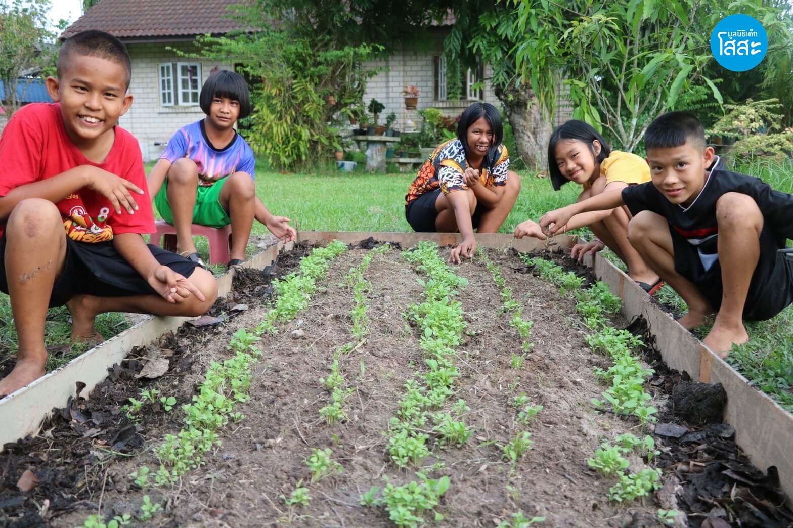 เพาะรัก ผักริมรั้วจากครอบครัวโสสะ