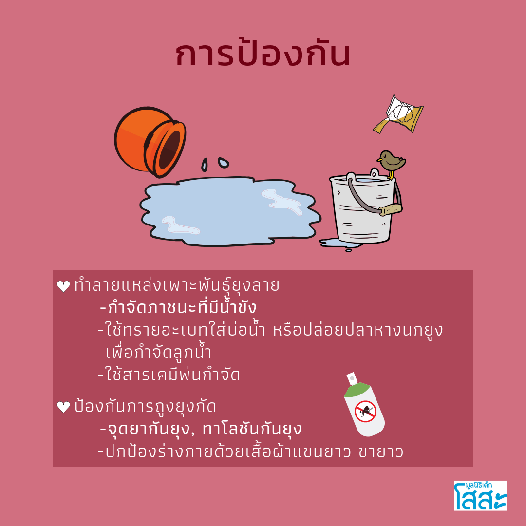 sosthailand-dengue-fever-มูลนิธิเด็กโสสะ-ไข้เลือดออก-การป้องกัน