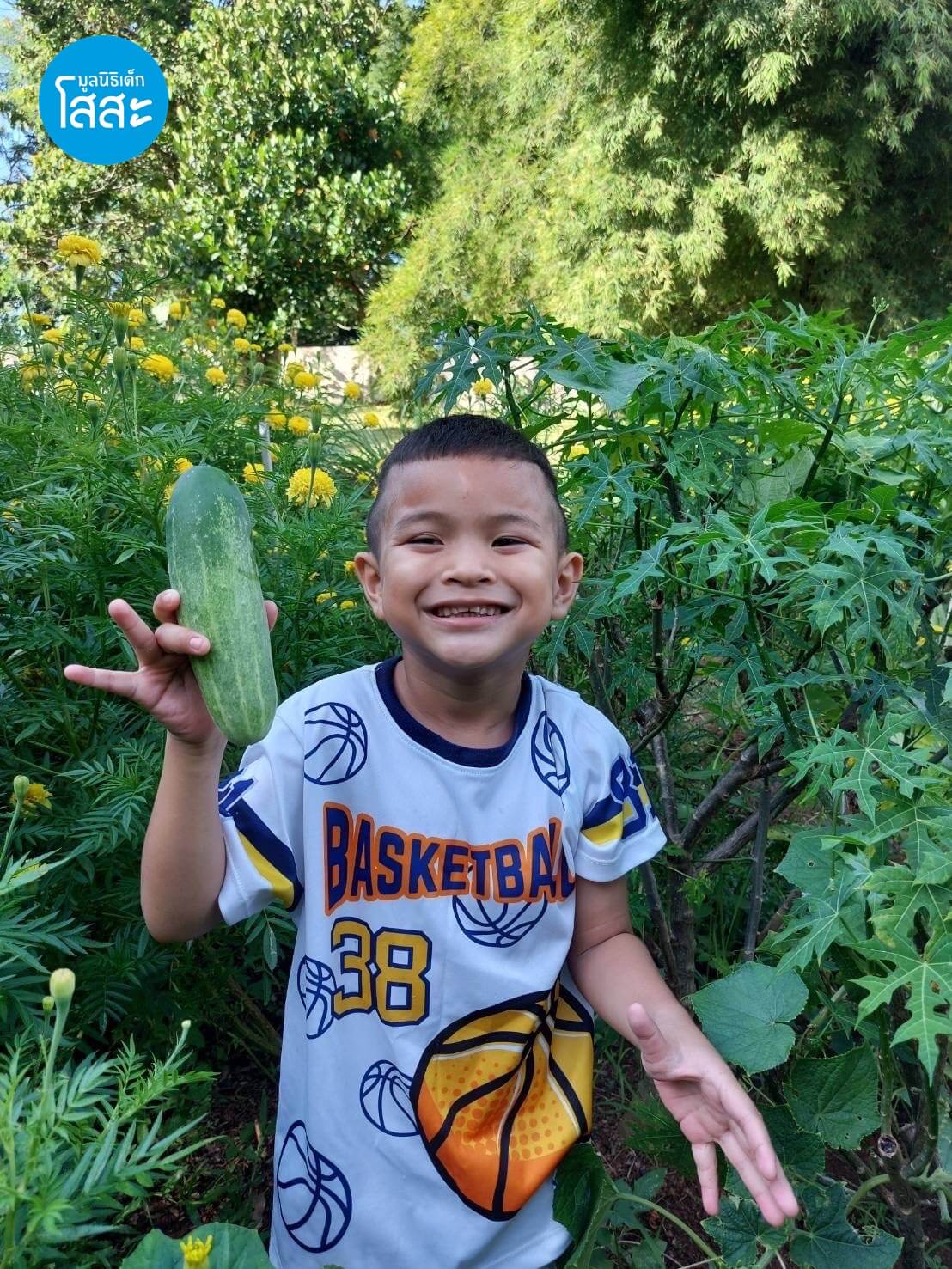 เพาะรัก ผักริมรั้วจากครอบครัวโสสะ