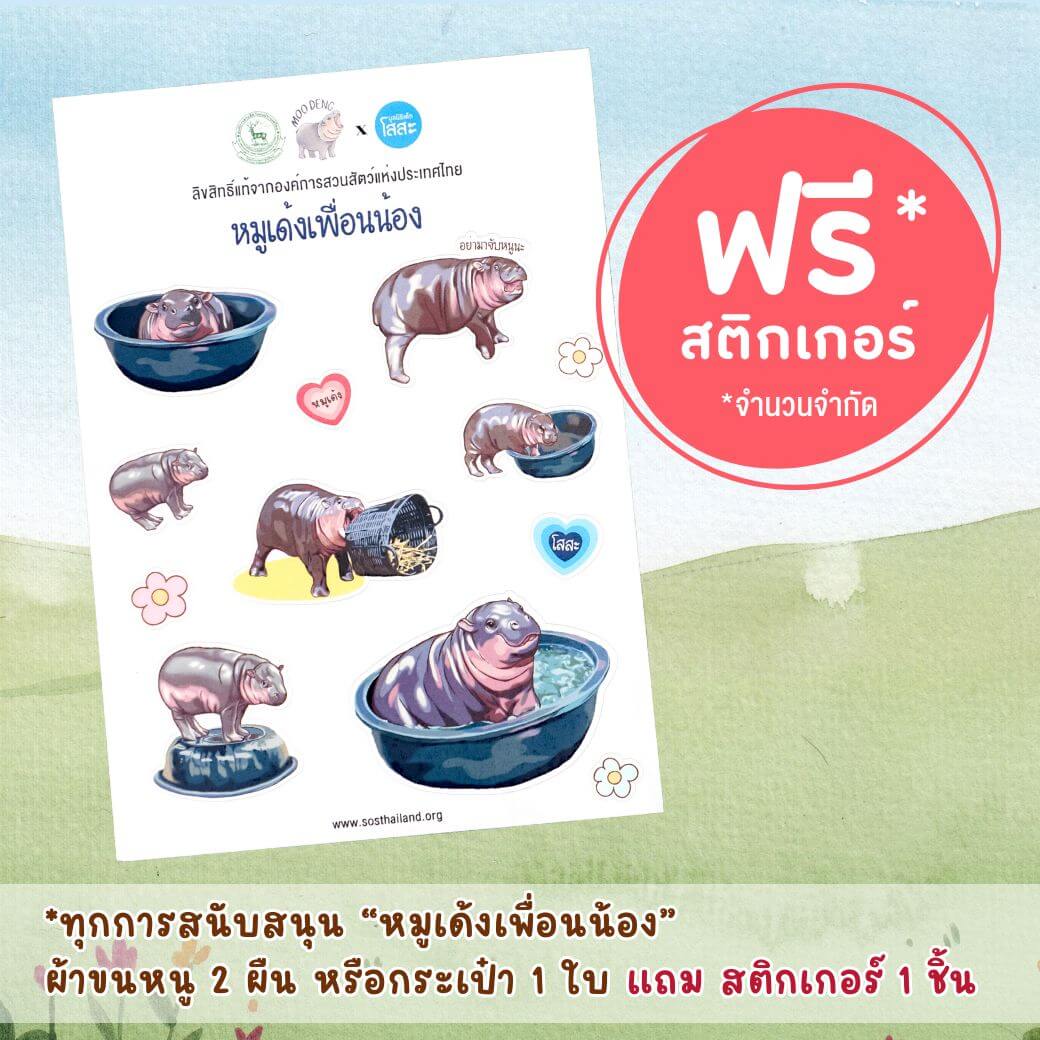 มูลนิธิเด็กโสสะ-ของที่ระลึก หมูเด้งเพื่อนน้อง