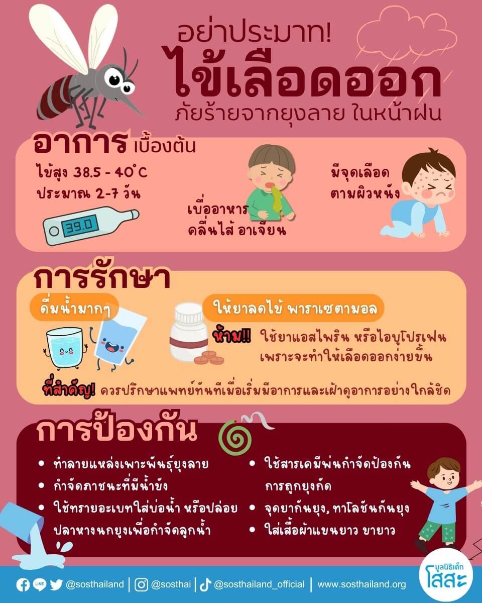มูลนิธิเด็กโสสะ-รู้ทันภัยร้าย ไข้เลือดออก-infographic