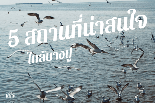 มูลนิธิเด็กโสสะ-5 สถานที่น่าสนใจใกล้บางปู banner