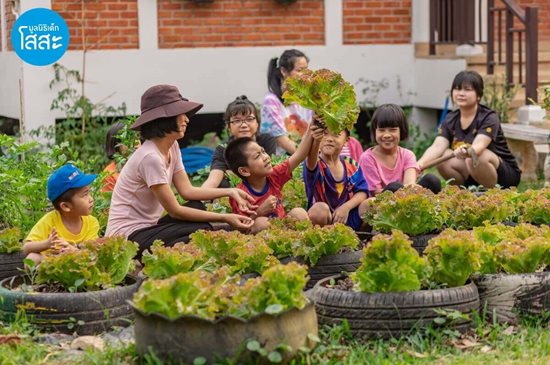 มูลนิธิเด็กโสสะ-น้องโสสะปลูกผักสวนครัว
