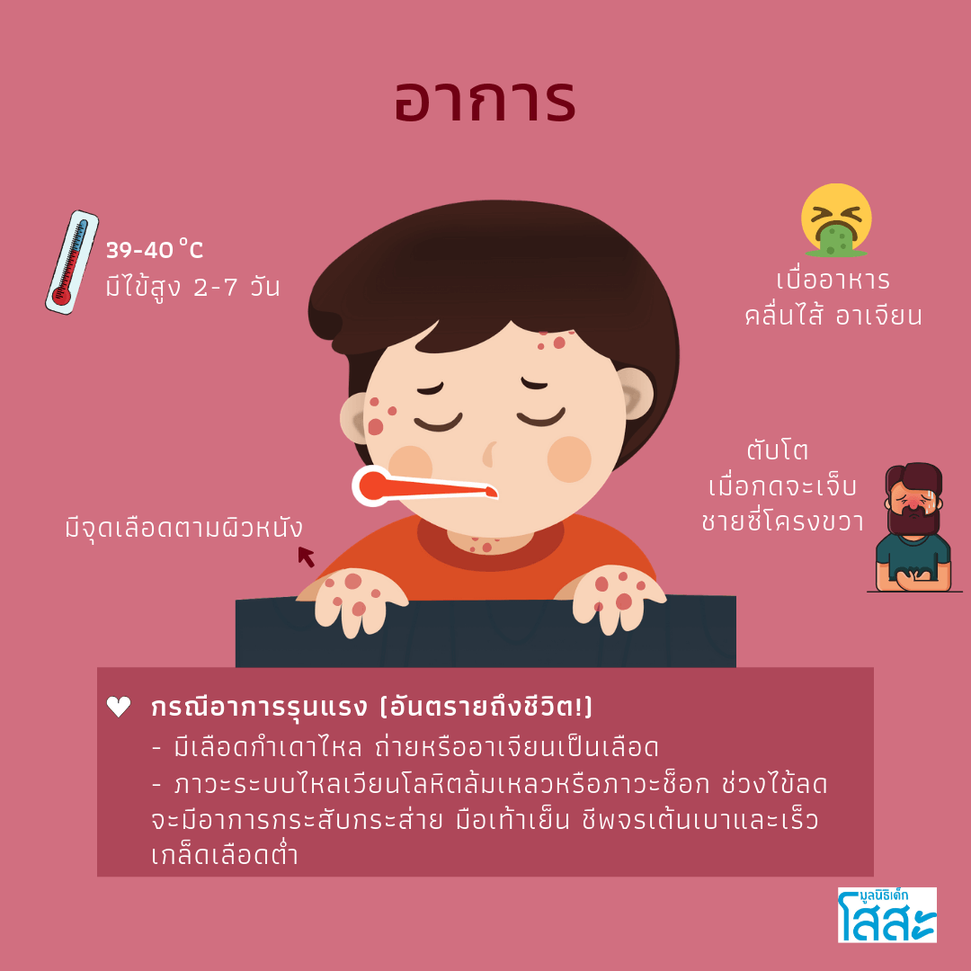 sosthailand-dengue-fever-มูลนิธิเด็กโสสะ-ไข้เลือดออก-อาการ